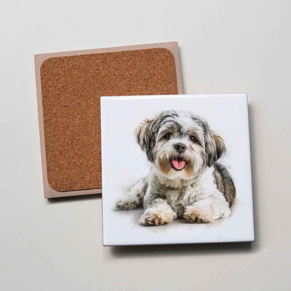 Maltese Shih Tzu - Lying Down2 - Coaster