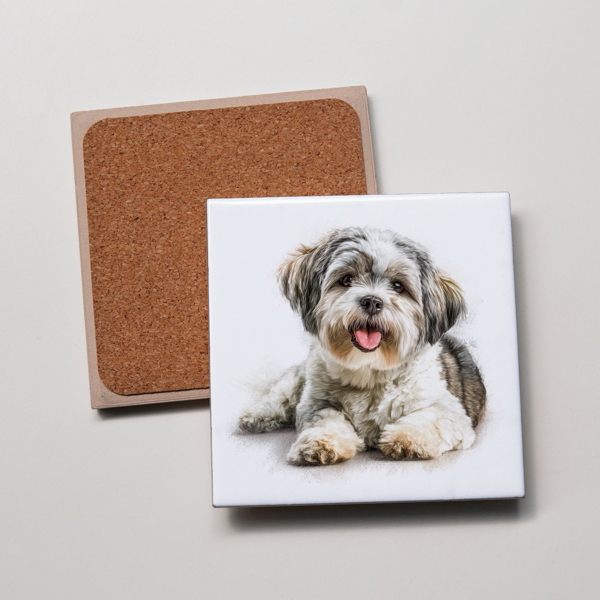 Maltese Shih Tzu - Lying Down2 - Coaster