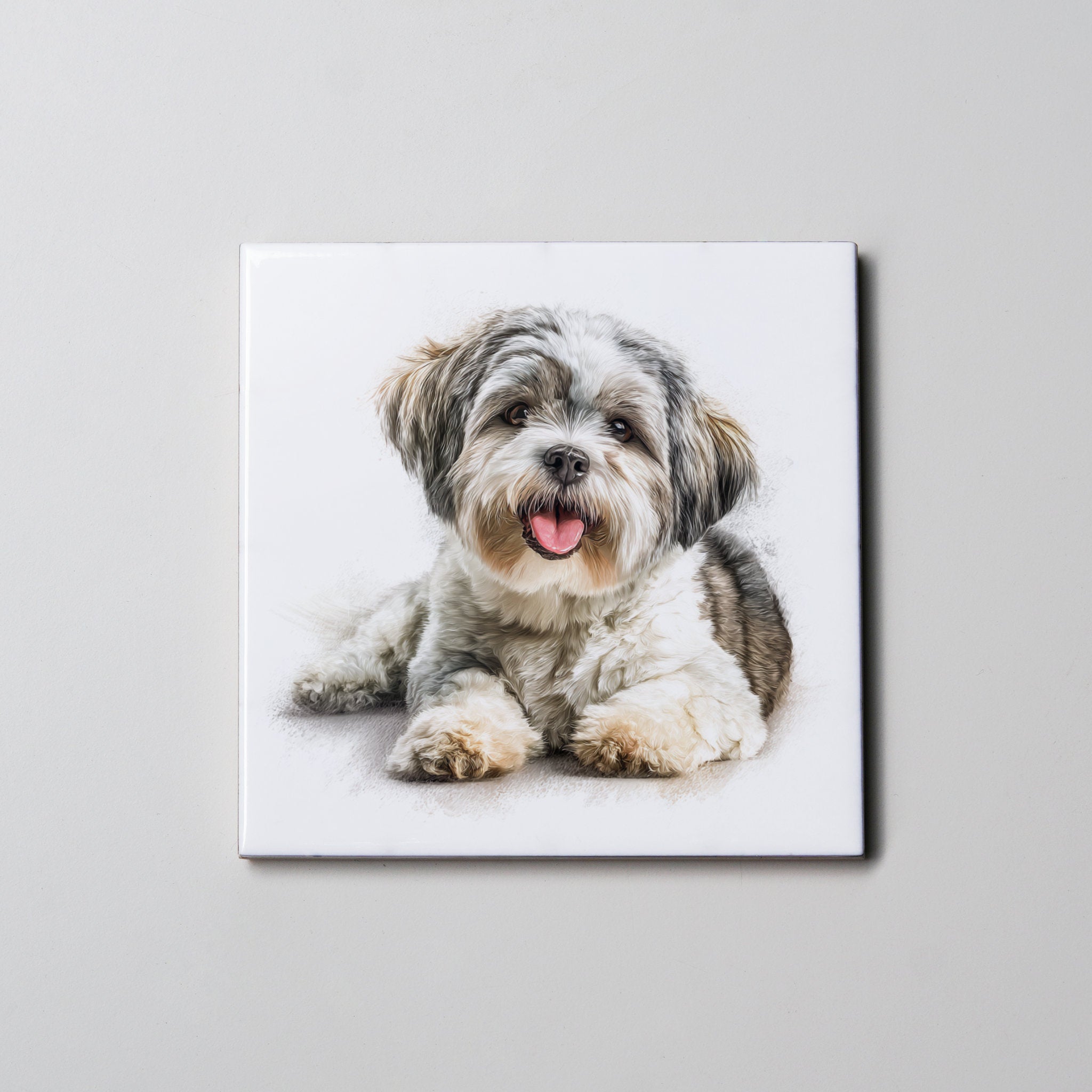 Maltese Shih Tzu - Lying Down2 - Coaster