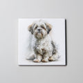 Maltese Shih Tzu - Sitting - Coaster