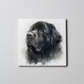 Newfoundland Black - Portrait - Coaster
