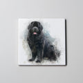 Newfoundland Black - Sitting - Coaster
