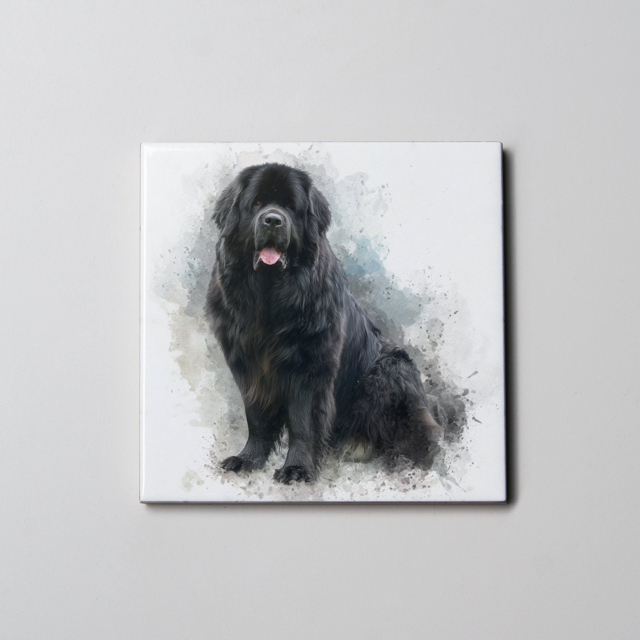 Newfoundland Black - Sitting - Coaster