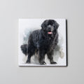 Newfoundland Black - standing - Coaster