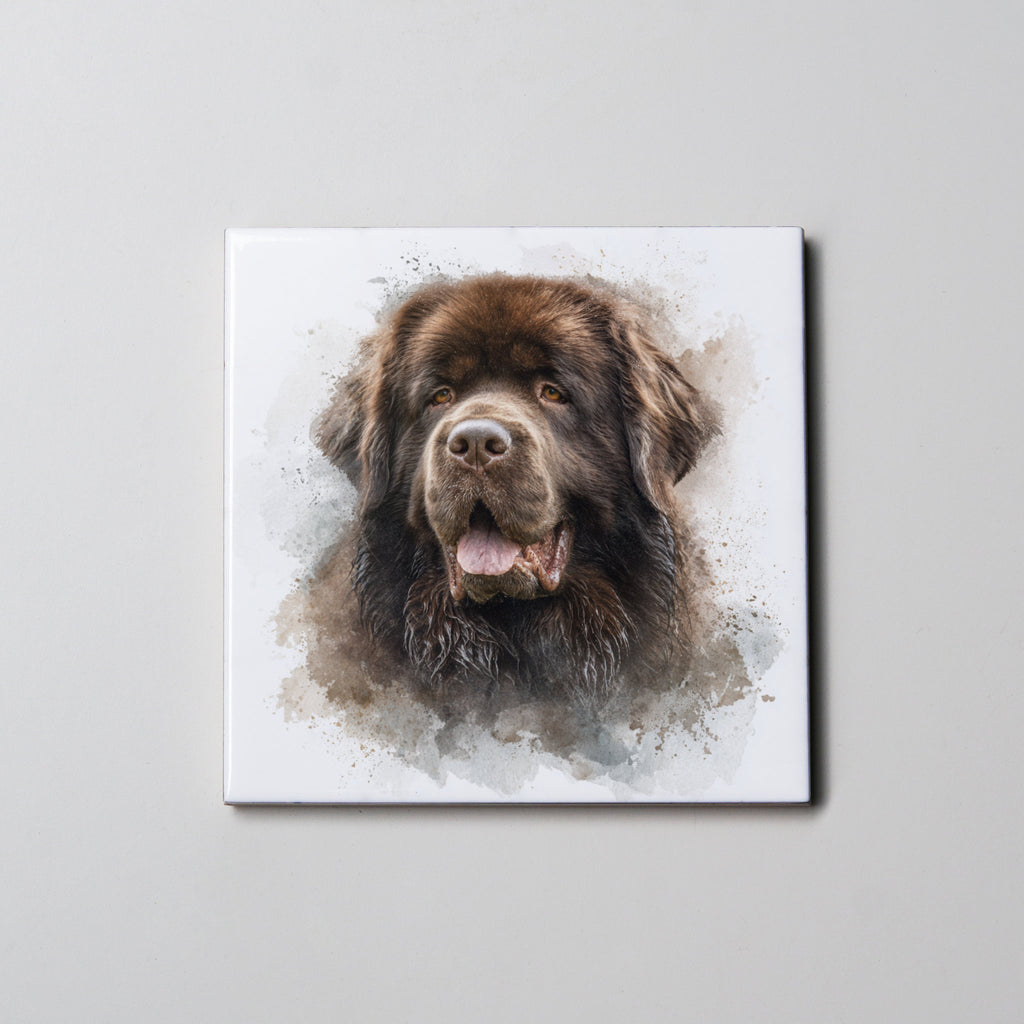 Newfoundland Chocolate - Portrait - Coaster