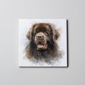 Newfoundland Chocolate - Portrait - Coaster