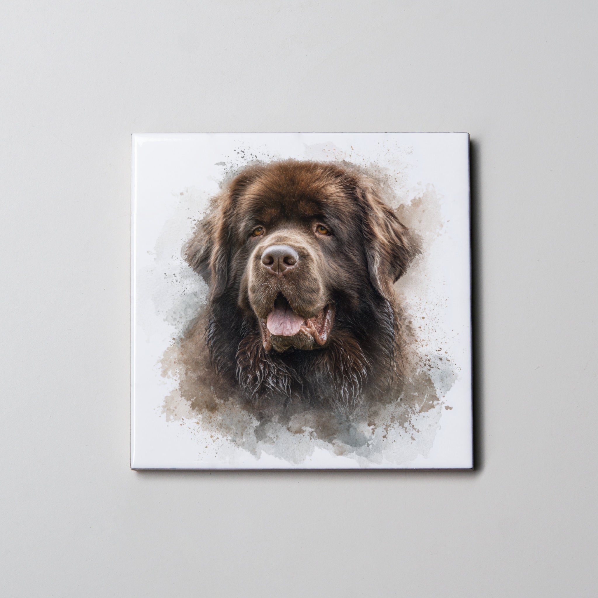Newfoundland Chocolate - Portrait - Coaster