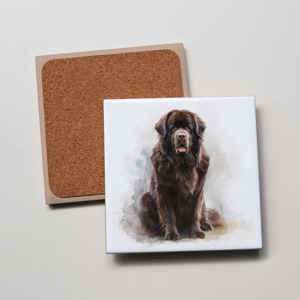 Newfoundland Chocolate - Sitting - Coaster