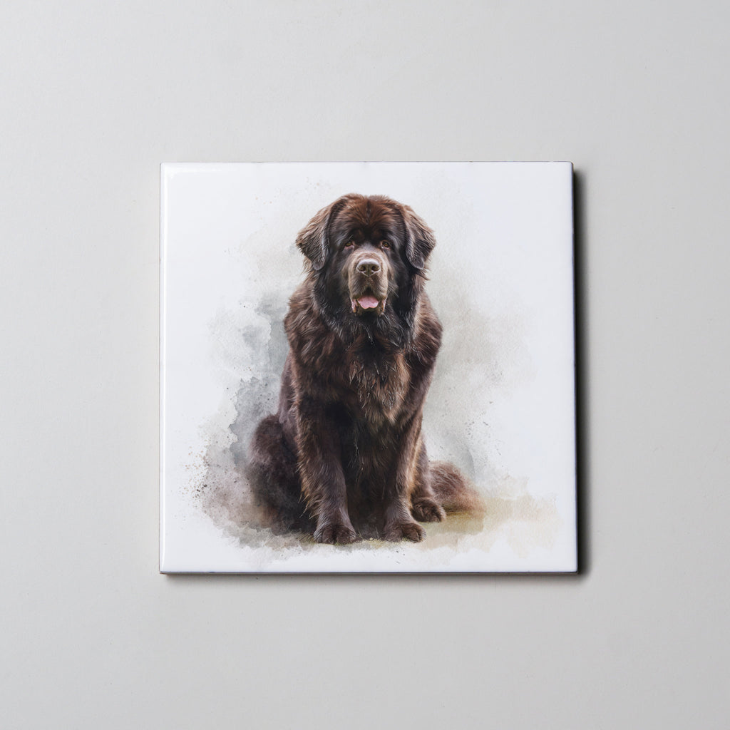 Newfoundland Chocolate - Sitting - Coaster