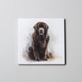 Newfoundland Chocolate - Sitting - Coaster