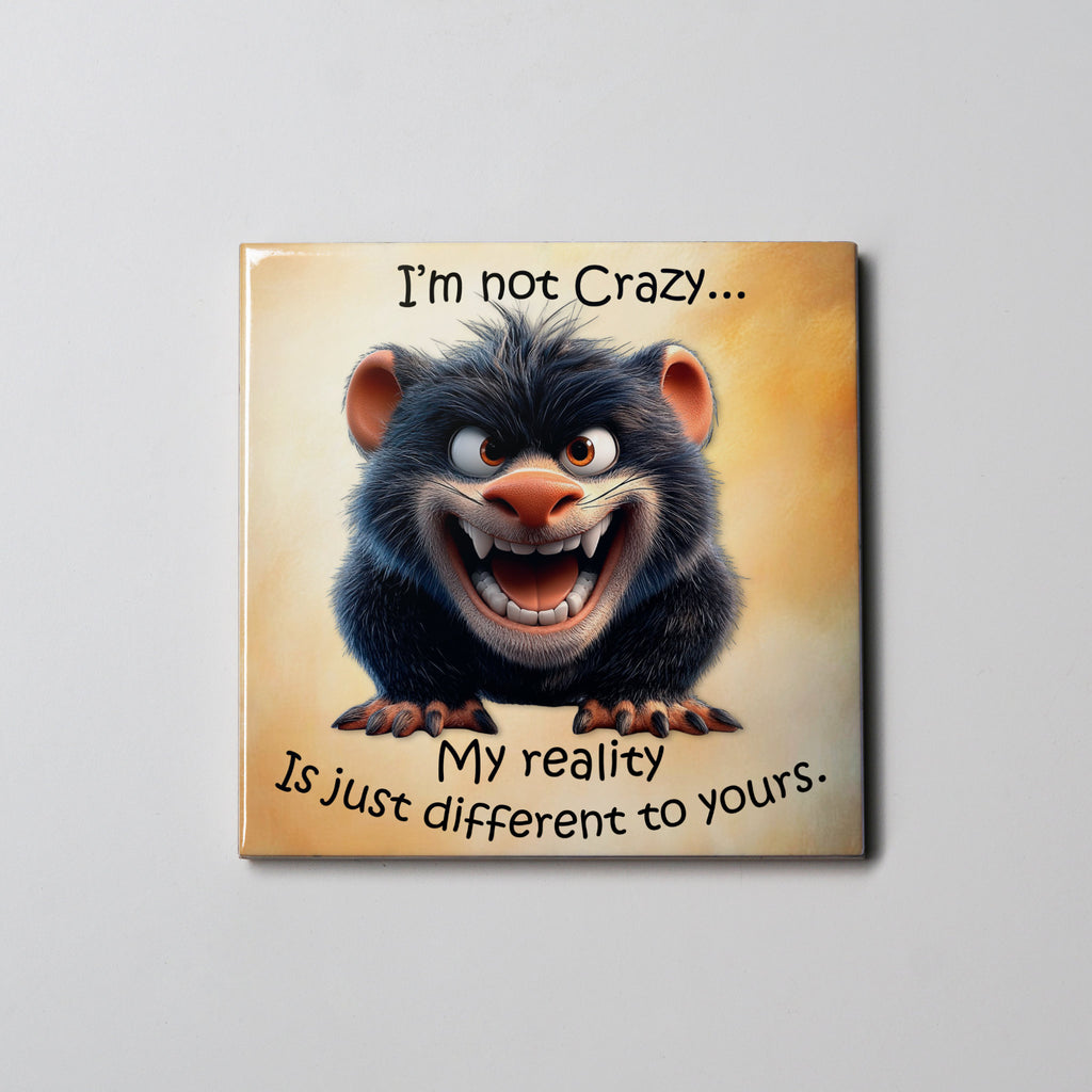 Not Crazy Coaster