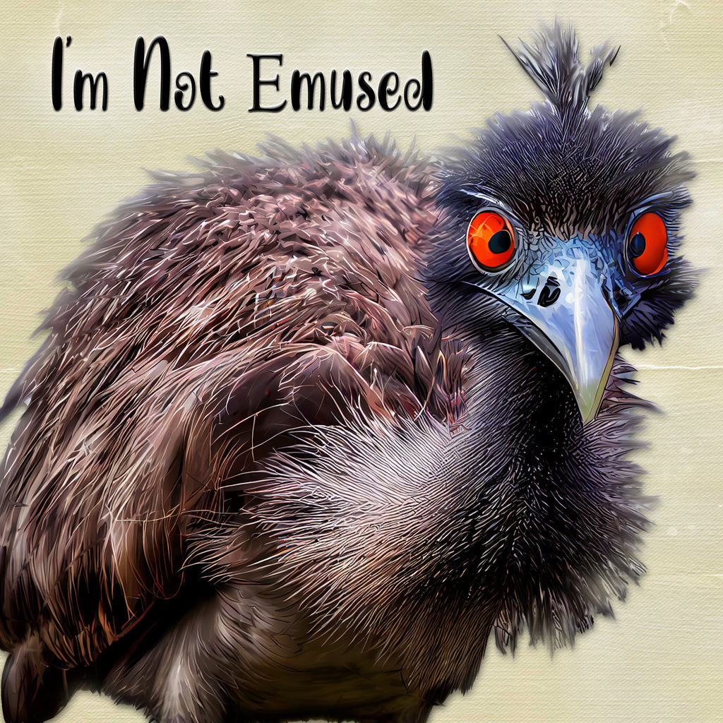 Not Emused - Coaster