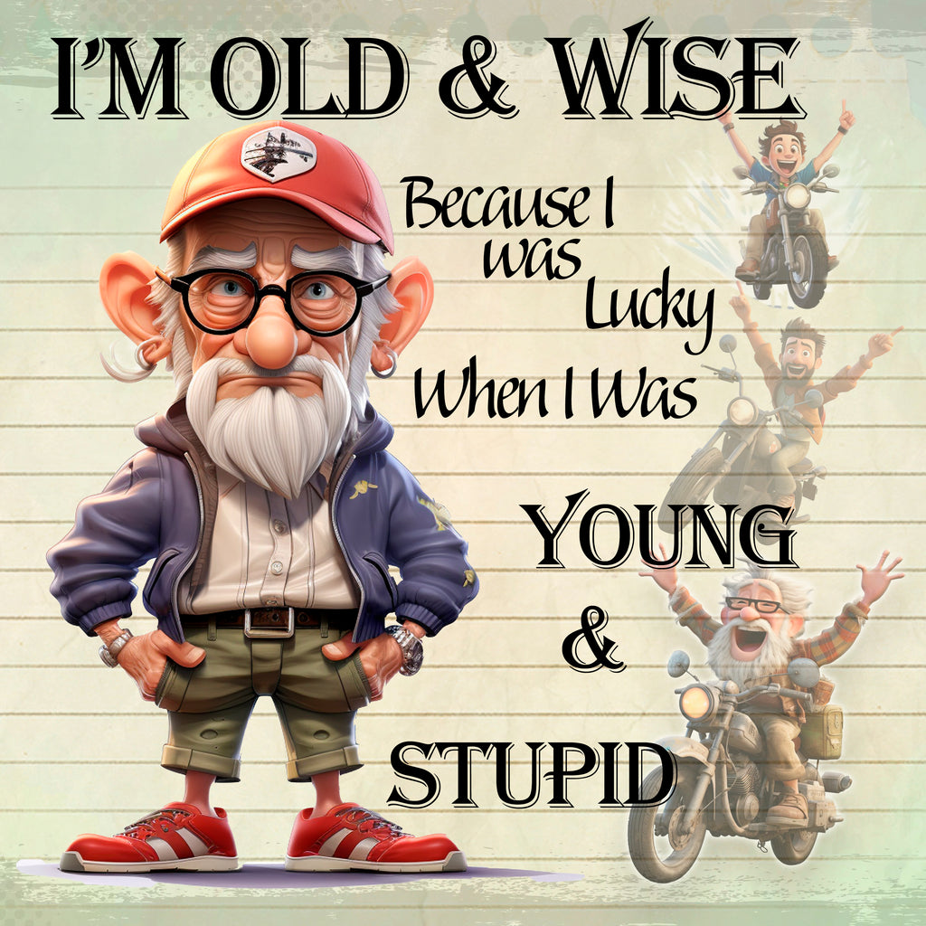 Old & Wise Coaster