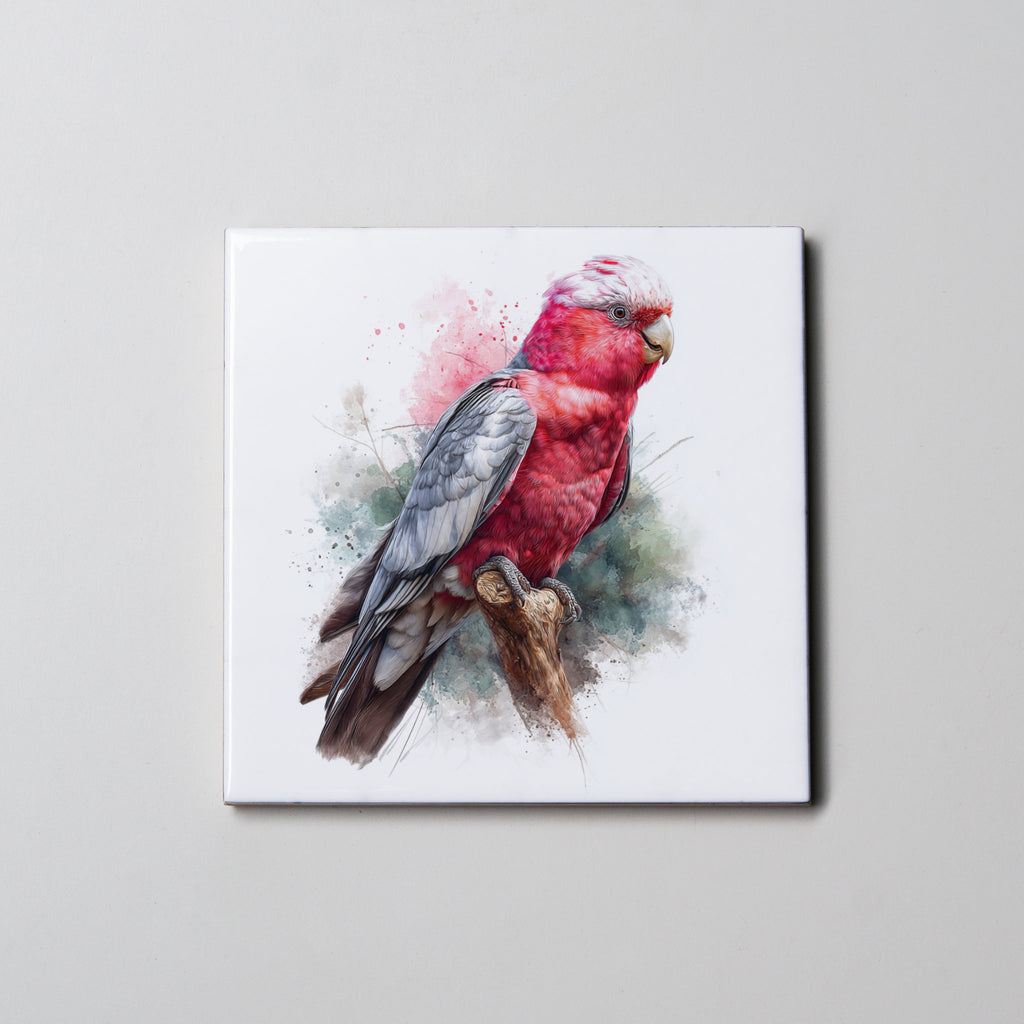 Pink & Grey Galah Full Body - Coaster