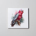 Pink & Grey Galah Full Body - Coaster