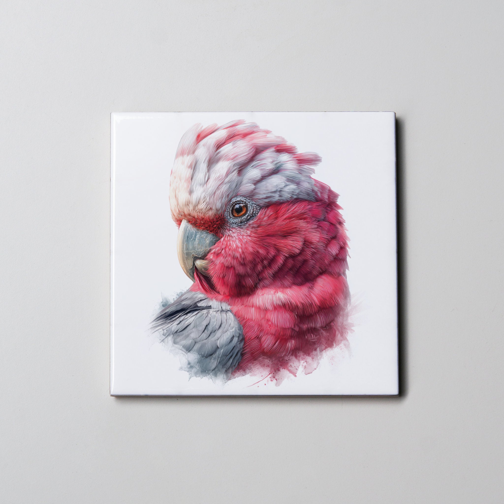 Pink & Grey Galah Portrait - Coaster