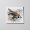 Platypus swimming - Coaster