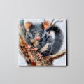 Possum - Coaster