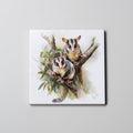 Possum - Sugar Glider - Coaster