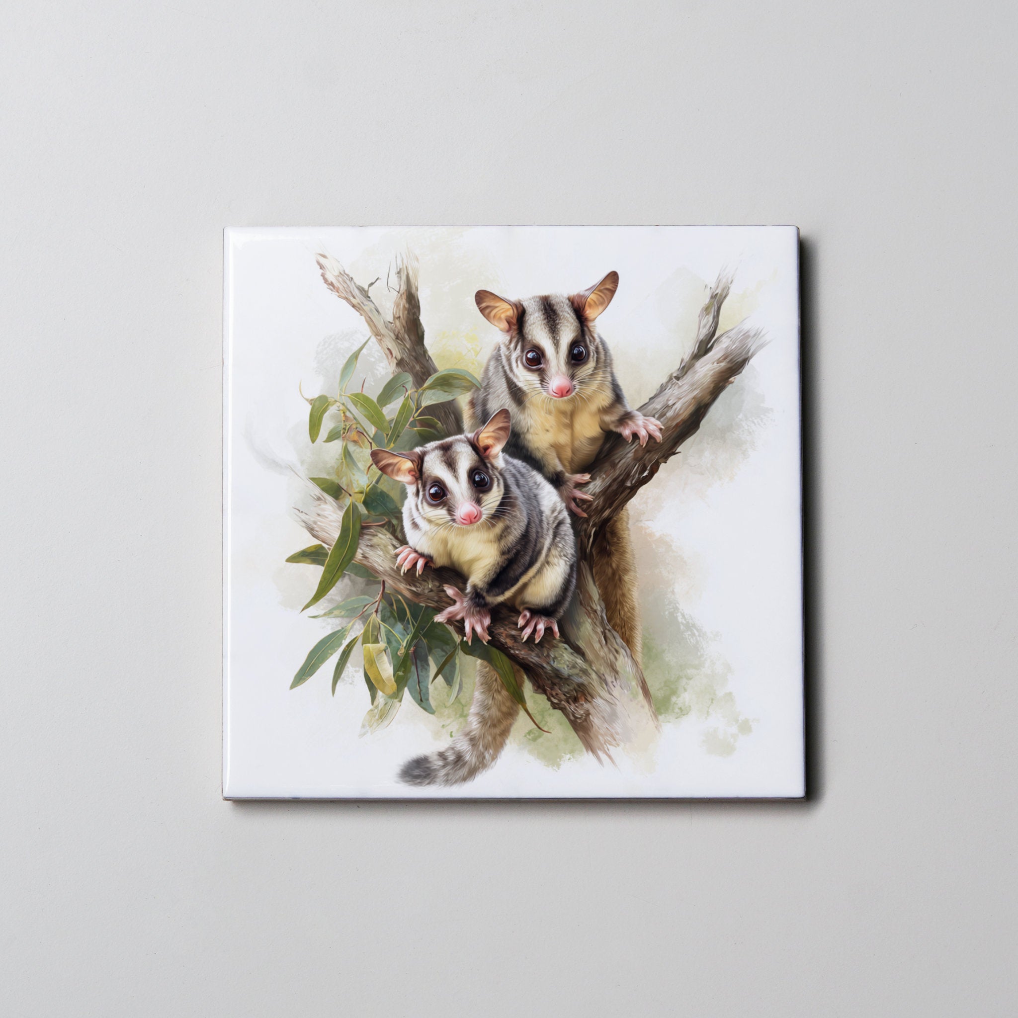Possum - Sugar Glider - Coaster