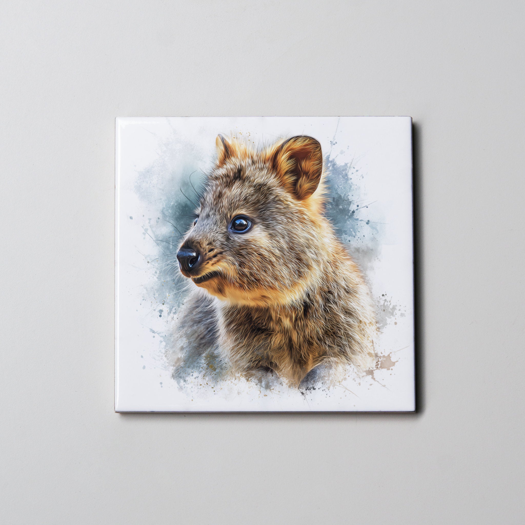 Quokka 1 - Coaster