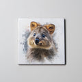 Quokka 2- Coaster