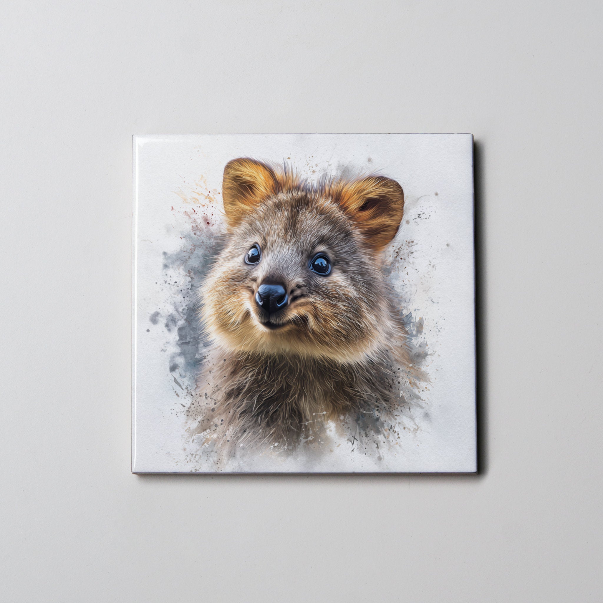 Quokka 2- Coaster