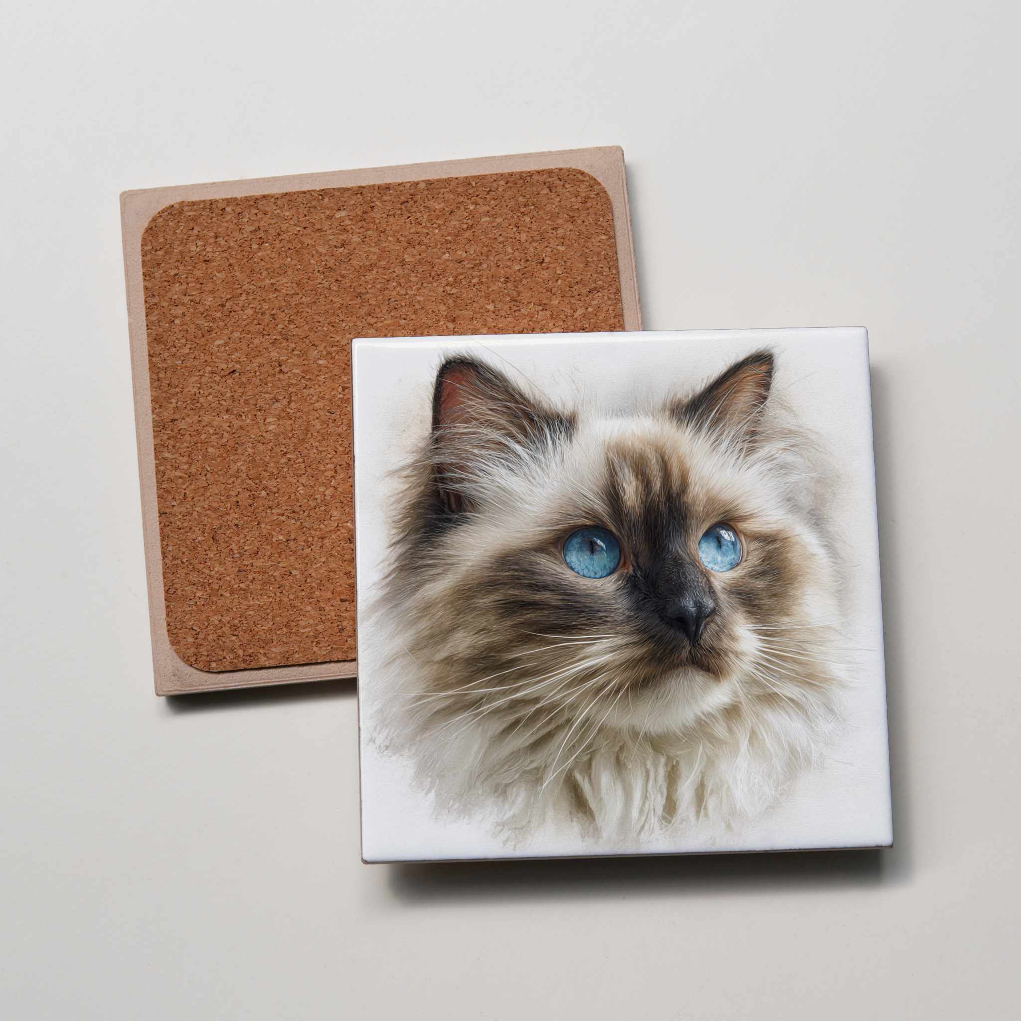 Ragdoll Portrait - Coaster