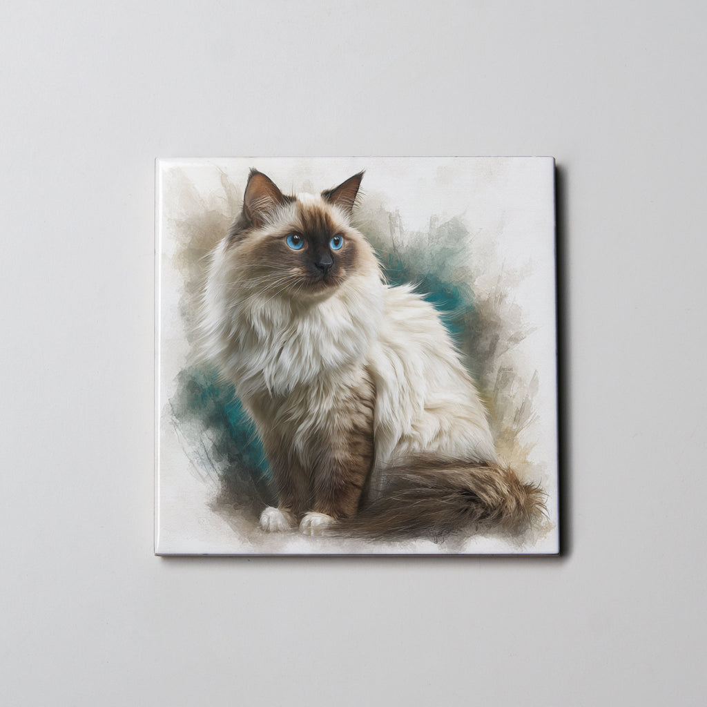 Ragdoll Sitting Cat - Coaster