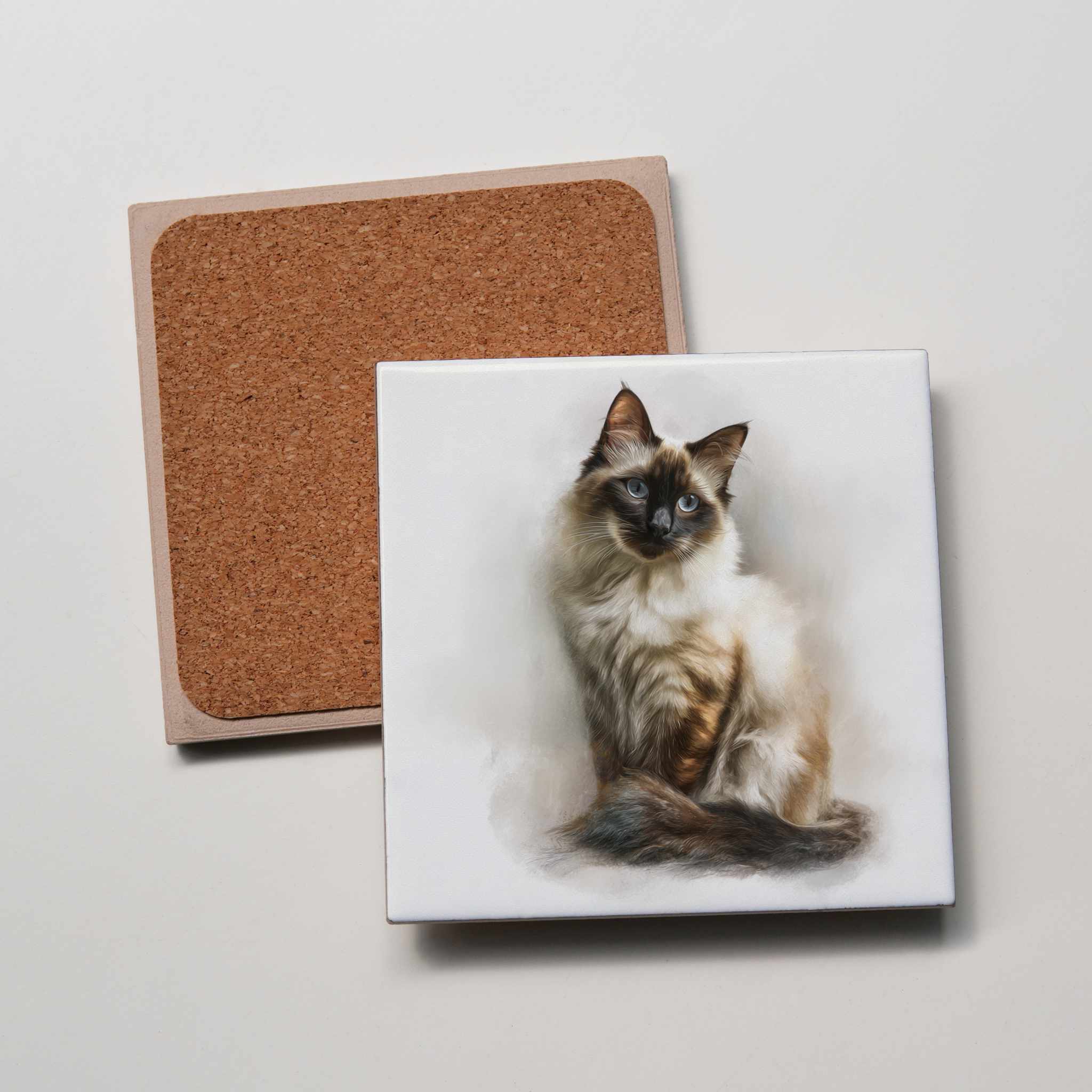 Ragdoll sitting 2 Cat - Coaster
