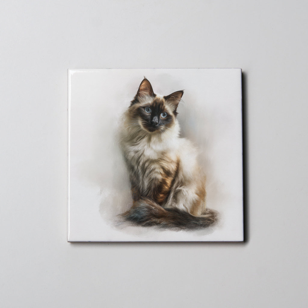 Ragdoll sitting 2 Cat - Coaster