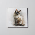 Ragdoll sitting 2 Cat - Coaster