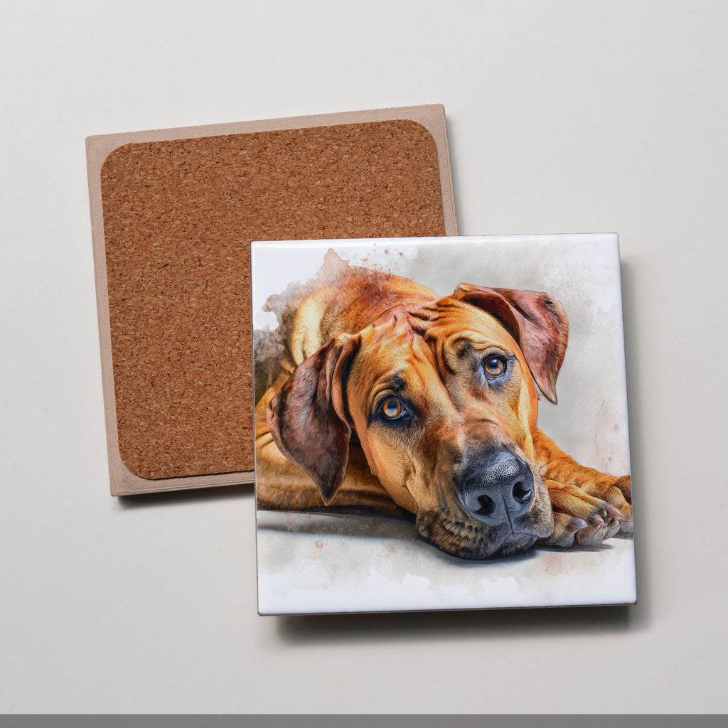 Rhodesian Ridgeback - Lying Down HD - Coaster