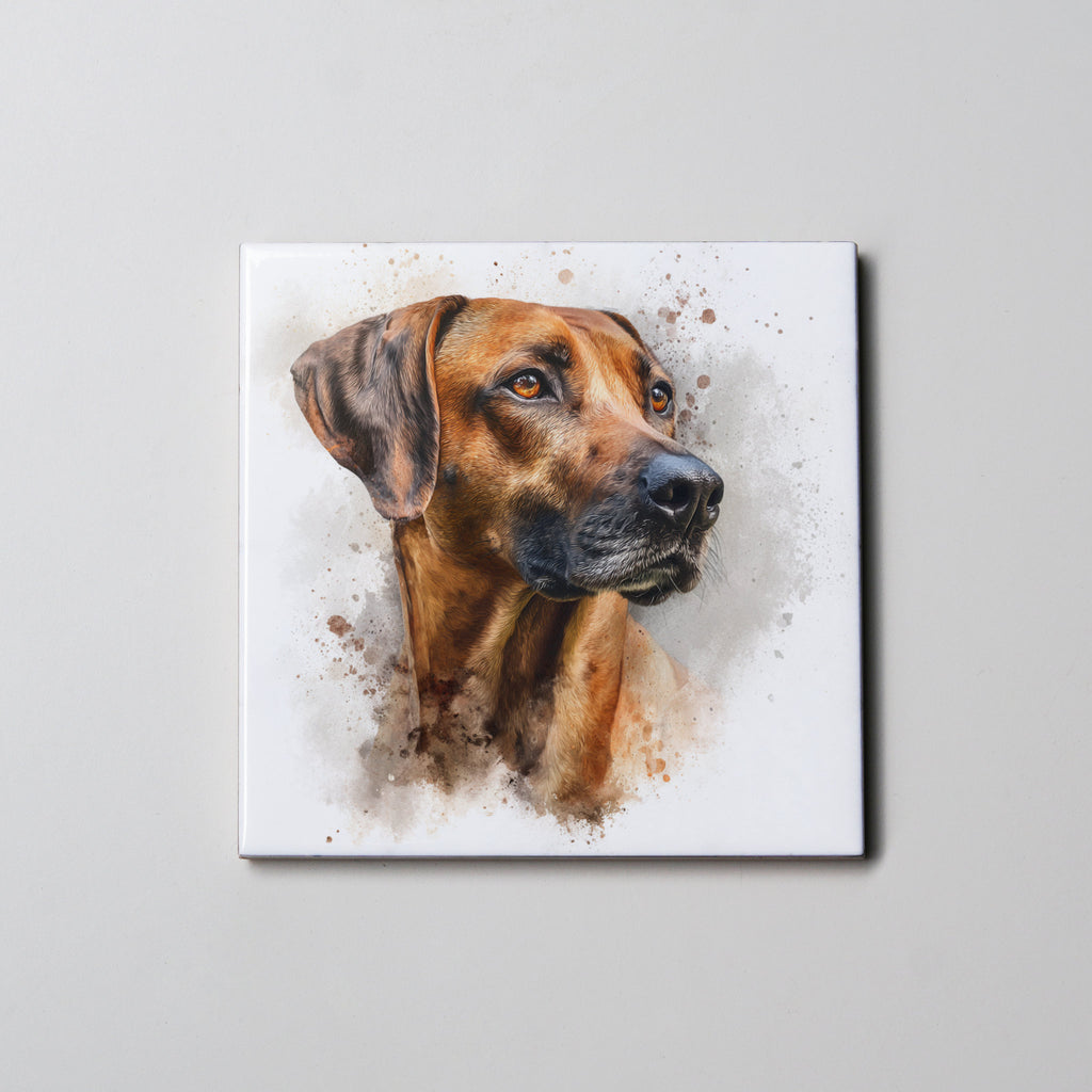 Rhodesian Ridgeback - Portrait - Coaster
