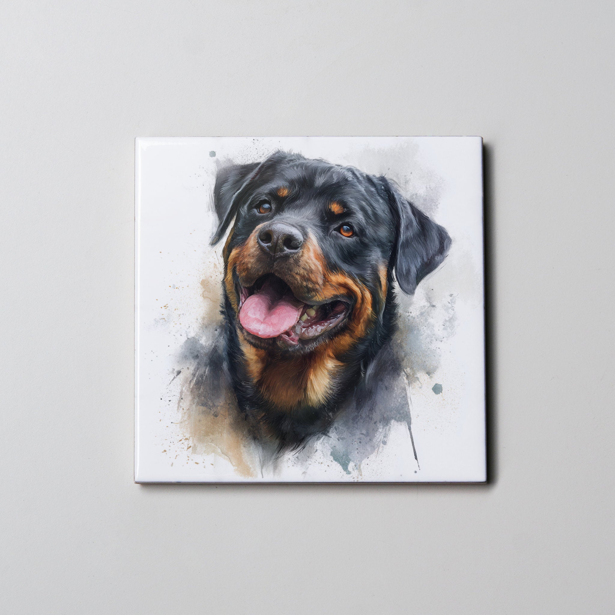 Rottweiler - Portrait - Coaster