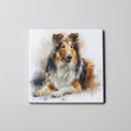 Rough Collie - Lying Down - Coaster