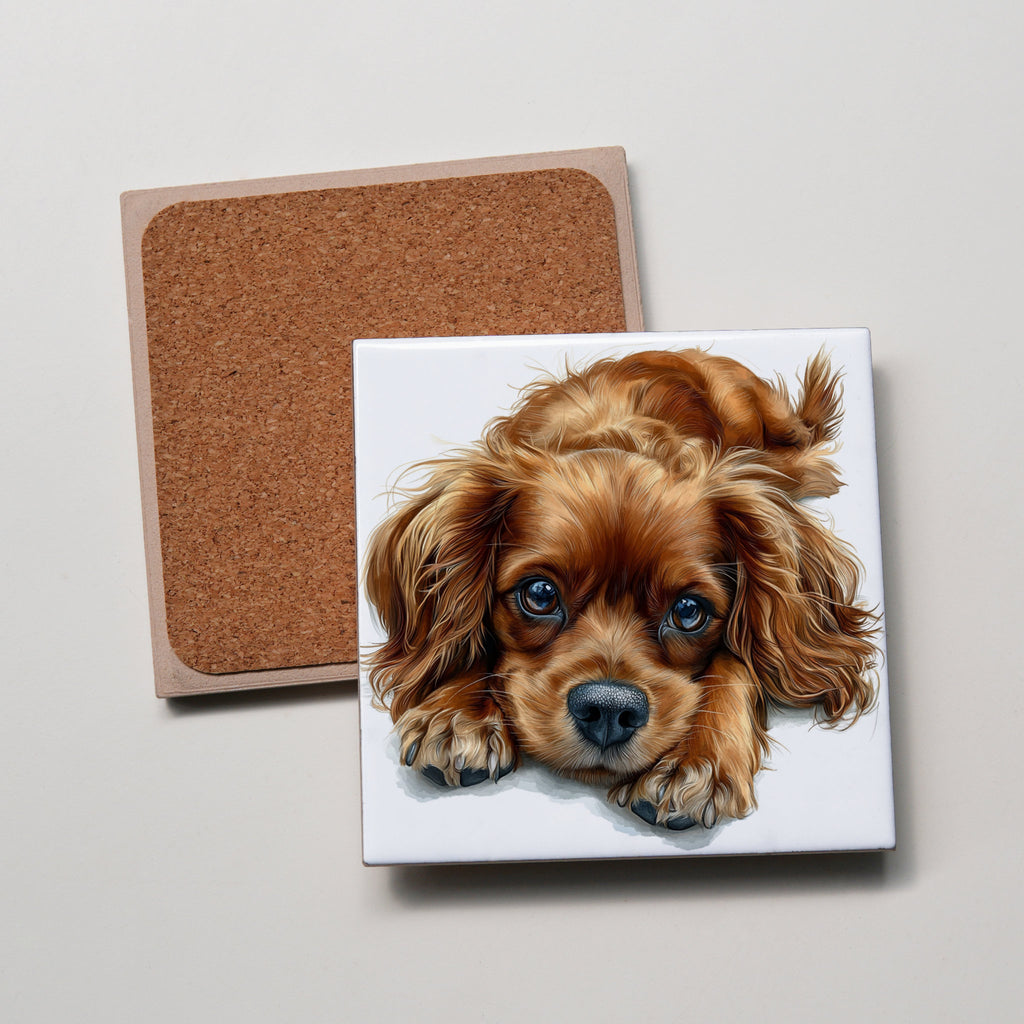 Ruby Cavalier King Charles Spaniel - Lying Down - Coaster
