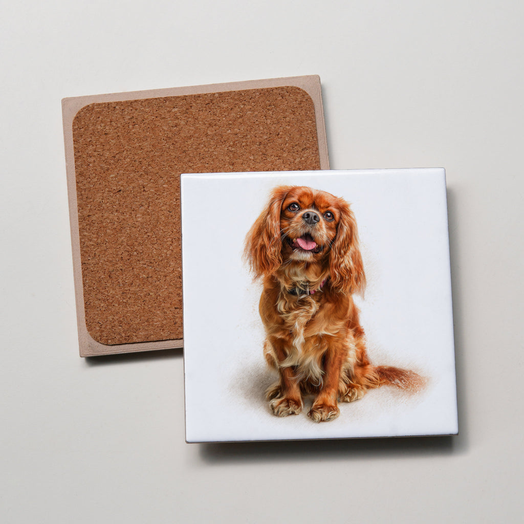 Ruby Cavalier King Charles Spaniel sitting -right - Coaster