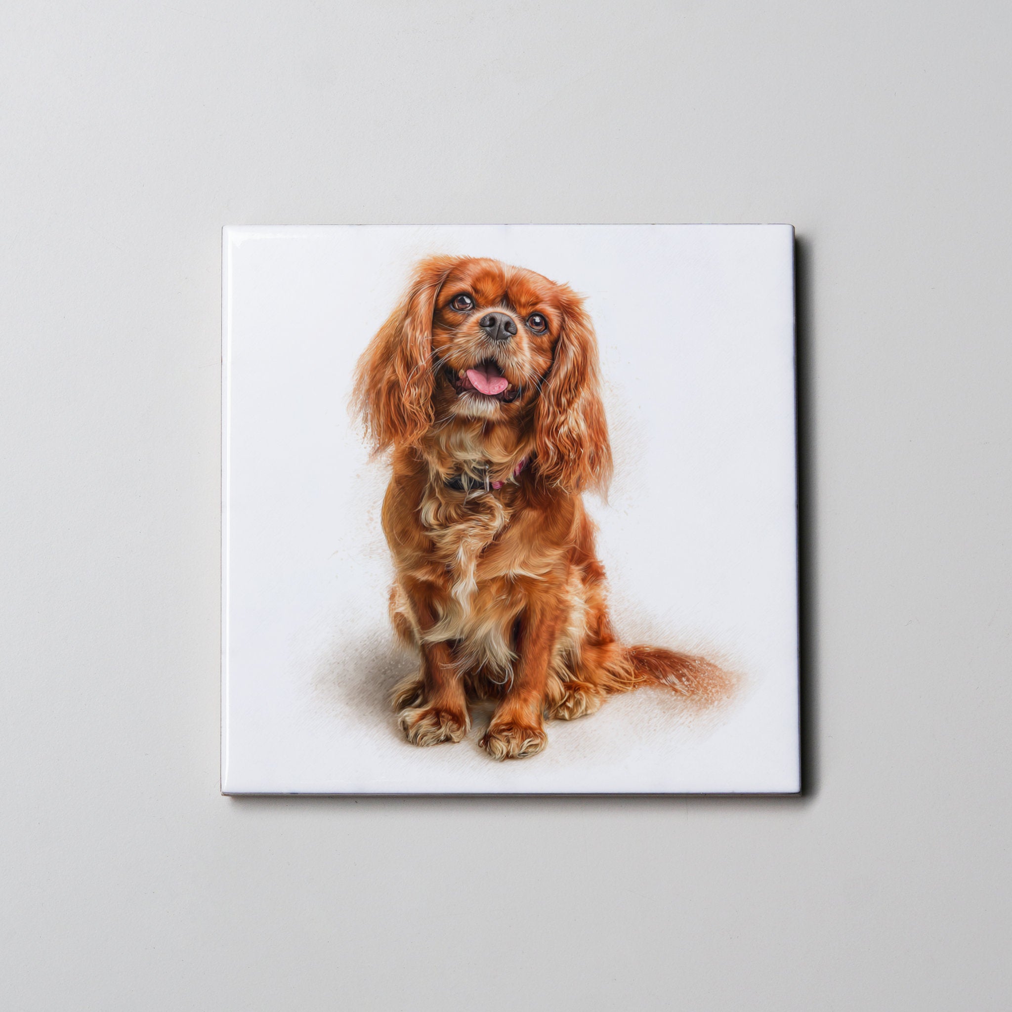 Ruby Cavalier King Charles Spaniel sitting -right - Coaster