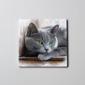 Russian Blue - Lying LR - Coaster