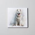 Samoyed - Full body - Coaster