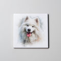 Samoyed - Portrait - Coaster