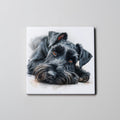 Schnauzer - Black - Lying Down HD - Coaster