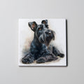 Schnauzer - Black - Lying Down HU - Coaster
