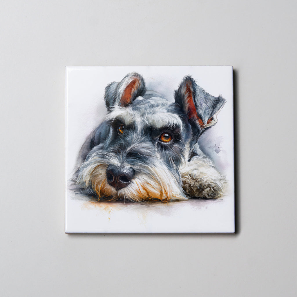 Schnauzer - Grey - Lying Down - Coaster
