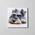 Schnauzer - Grey - Lying Down - Coaster