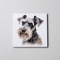 Schnauzer - Grey - Portrait - Coaster