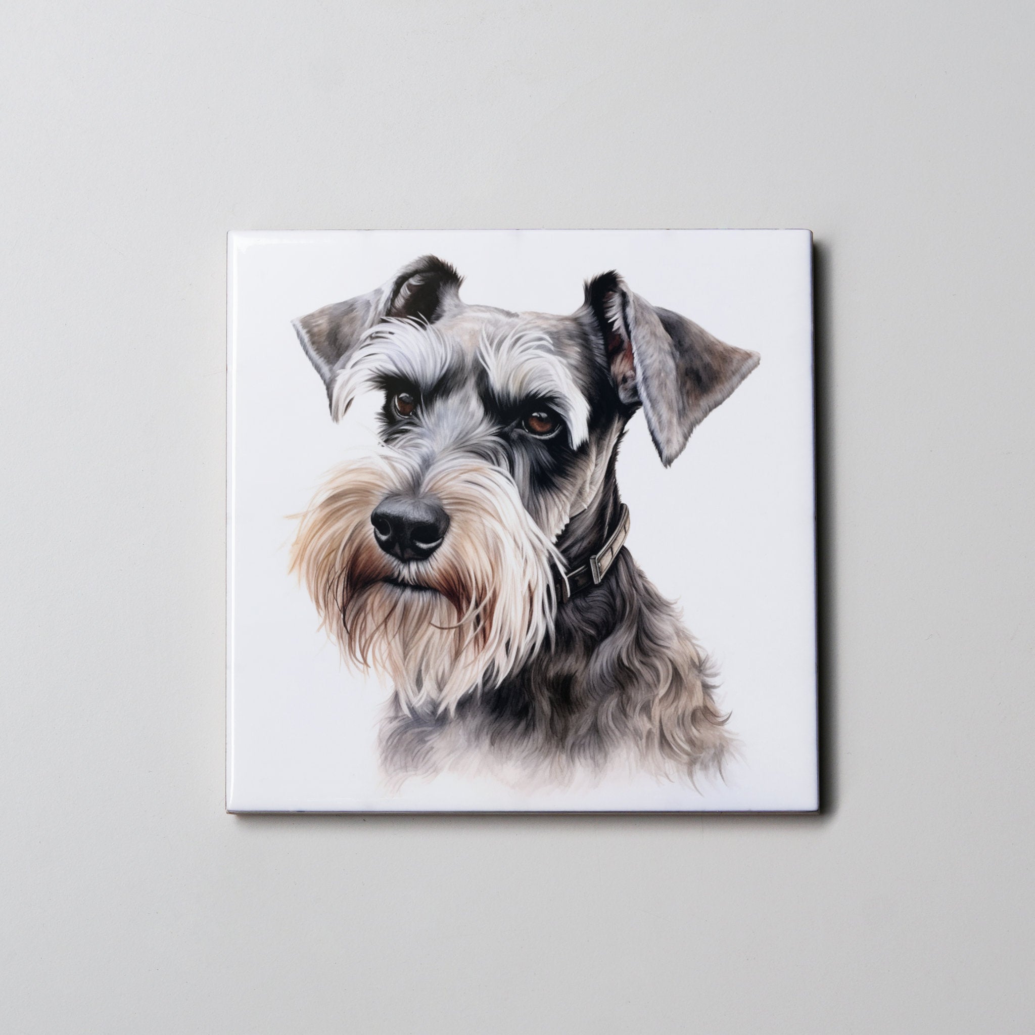 Schnauzer - Grey - Portrait - Coaster
