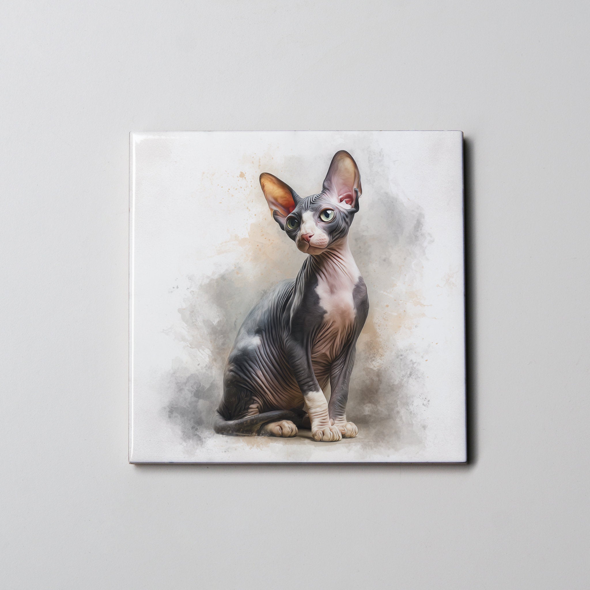 Sphinx hairless Cat Portrait - Coaster