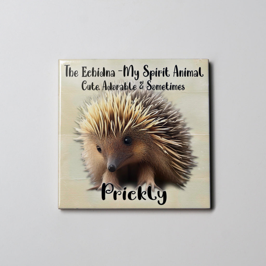 Spirit Animal- Coaster